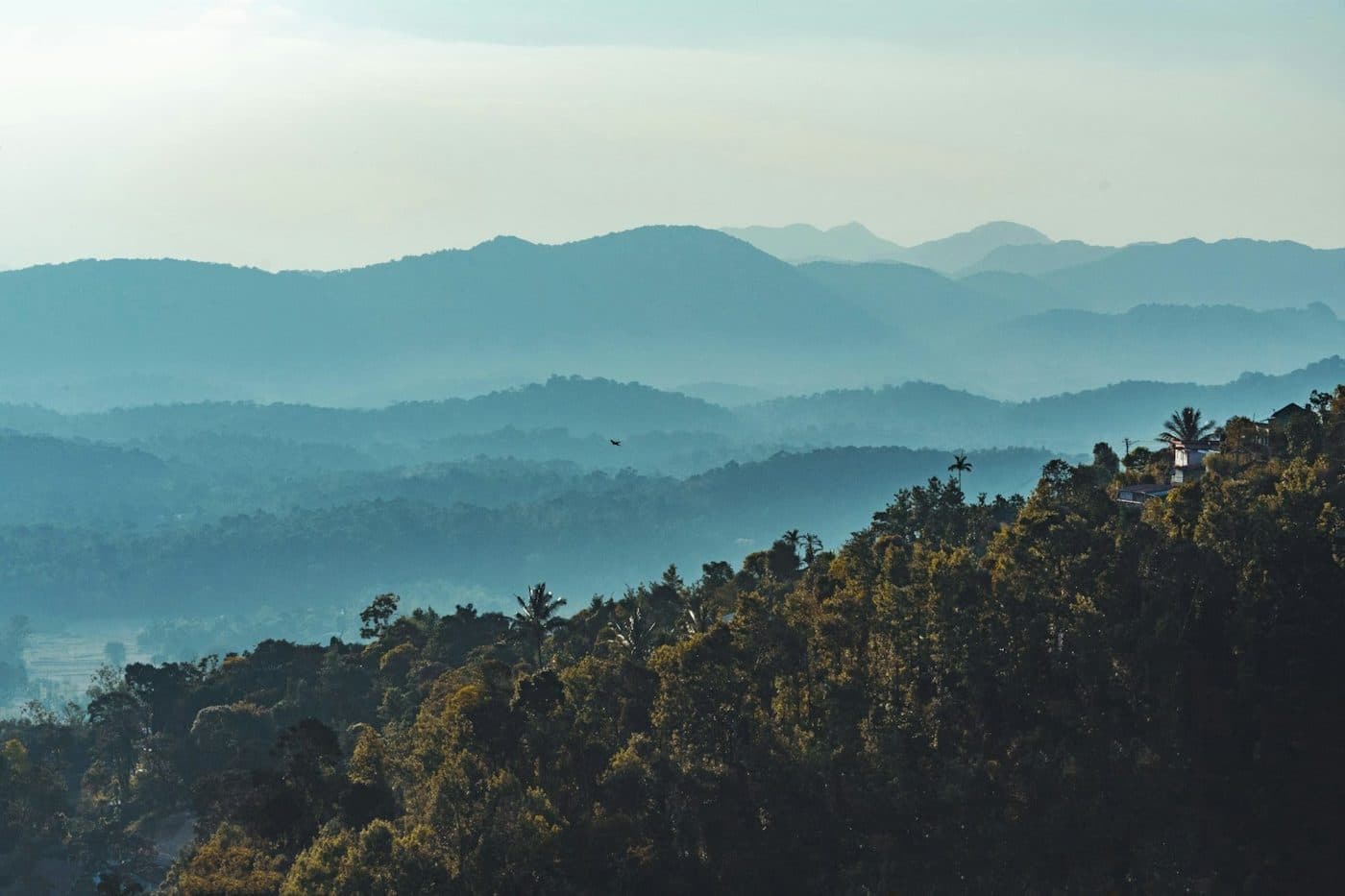 Misty hills of the Western Ghats